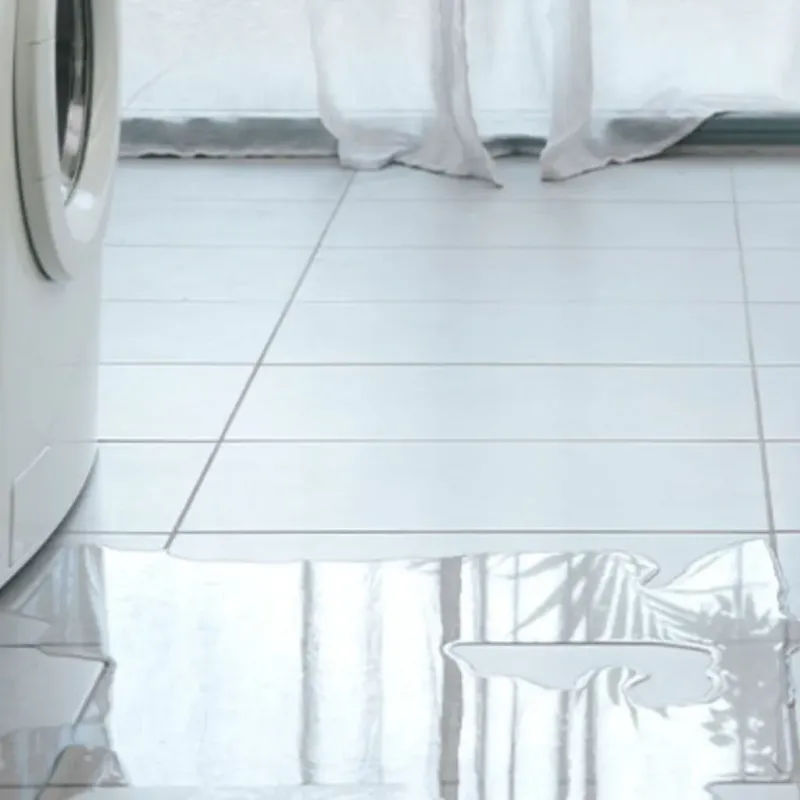 Appliance Leak Cleanup in Newton, IL