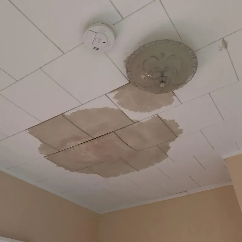 Ceiling Water Damage Repair in Newton, IL