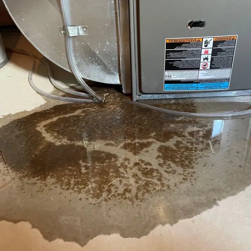 Pipe Burst and Leak Restoration in Newton, IL