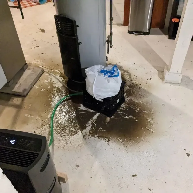 Sewage Backup Cleanup Service in Newton, IL
